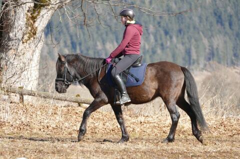 Ein Kumpel mit Gelassenheit