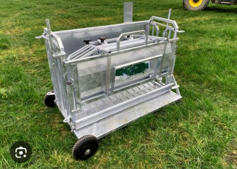 Suche Klauenpflegestand für Schafe