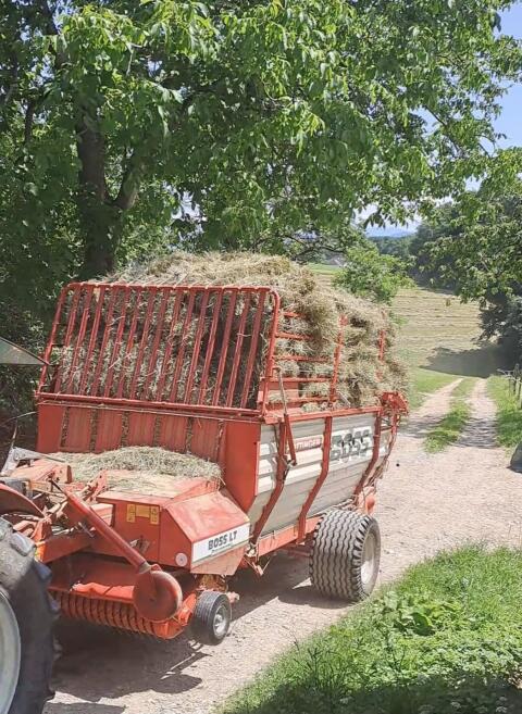 Pöttinger Boss LT Supermatik