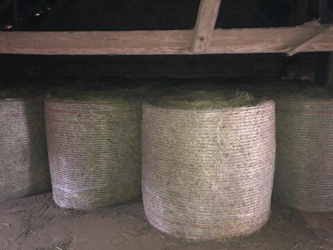 Heu/Grummet Rundballen