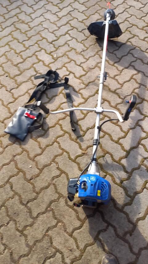 Benzin -  Freischneider