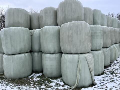 Heu, Anwelksilage & Strohballen