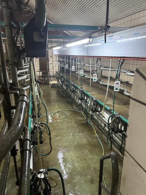 GEA Fischgrätenmelkstand doppel 8