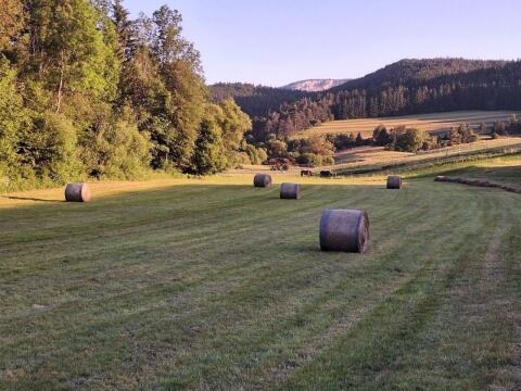 Verkaufe Heuballen