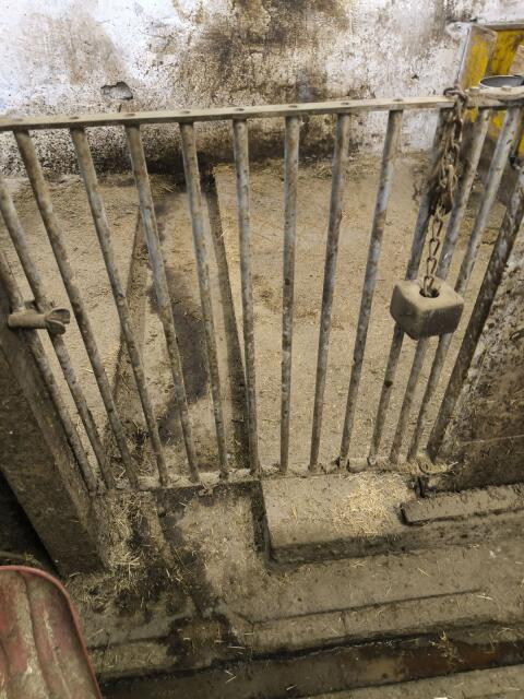 Schweine Gitter und Gittertür