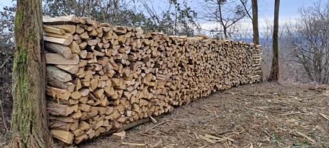 Scheitholz akazie hainbuche