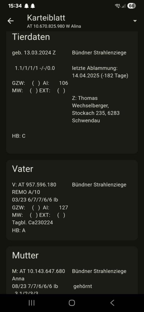 Bündner Strahlenziege