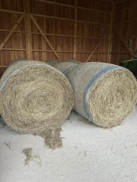 Heuballen 1. Schnitt 2025 30€