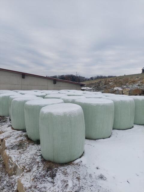 Silo Ballen Silageballen