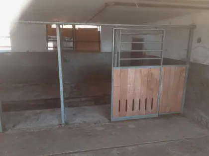 Pferdestall, Aufstallung, Pferdeboxen