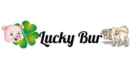 Duroc x Pietrain Ferkel abzugeben