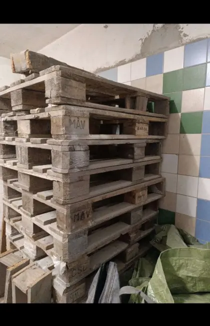 Europaletten/Brennholz