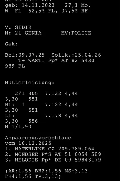 Verkaufe FV x HF Kalbin