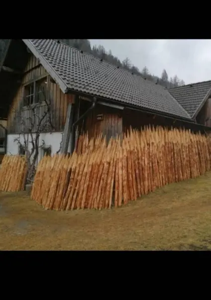 Lärchenstempel, Lärchenstipfel