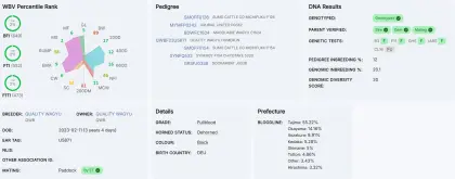 Top 2% Australien. Nr. 1 Europa.