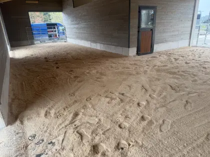 Holzpellets-Einstreu-Pferdeeinstreu