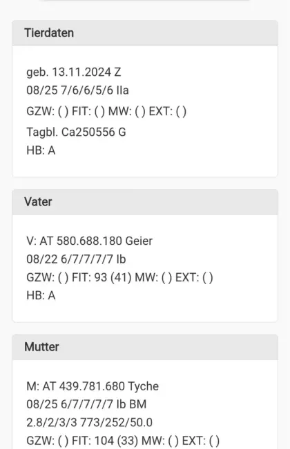 Verkaufe HB Tauernscheckenbock