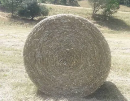 Heuballen  Rundballen