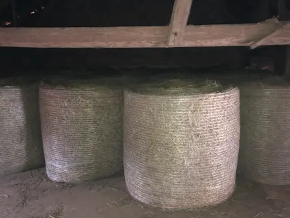 Heu/Grummet Rundballen