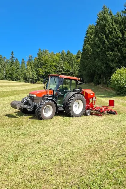 Grünland Nachsaat - Jetzt Bestand Verbessern?