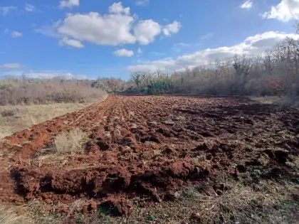 Grundstücke in Kroatien - Istrien (Parenzo)