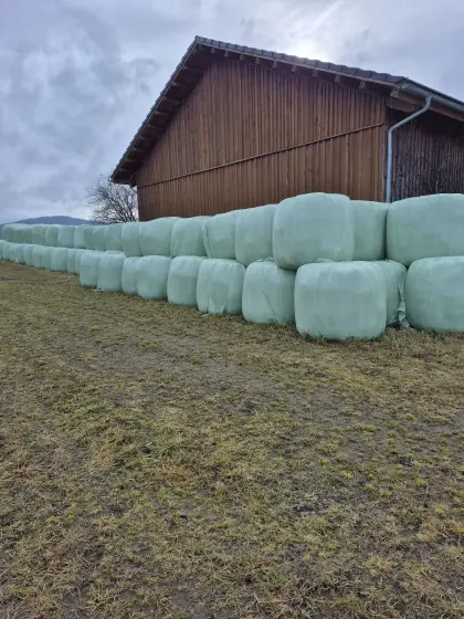 Grassilageballen 2.und 3.Schnitt