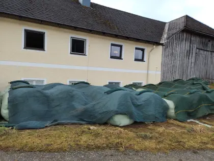 Silageballen Ernte 2025