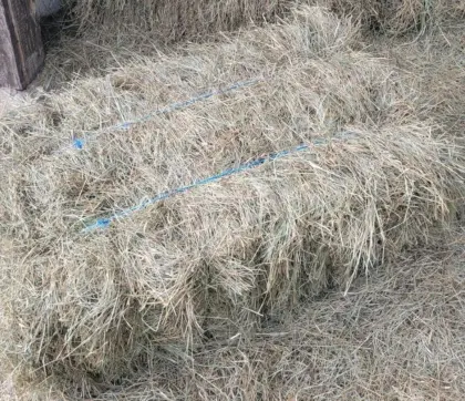 heu Quaderballen zu verkaufen