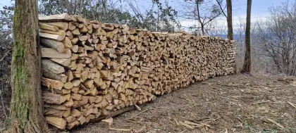 Scheitholz akazie hainbuche