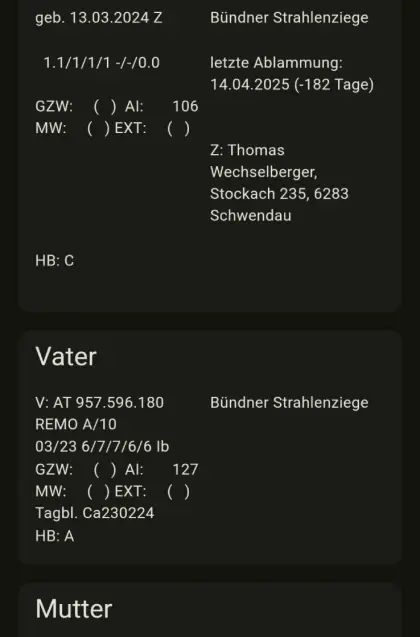 Bündner Strahlenziege