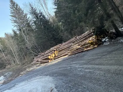 Holzschlägerung und Rückung