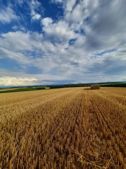 Stroh, Heu und Luzerne 2026 auf Vorbestellung