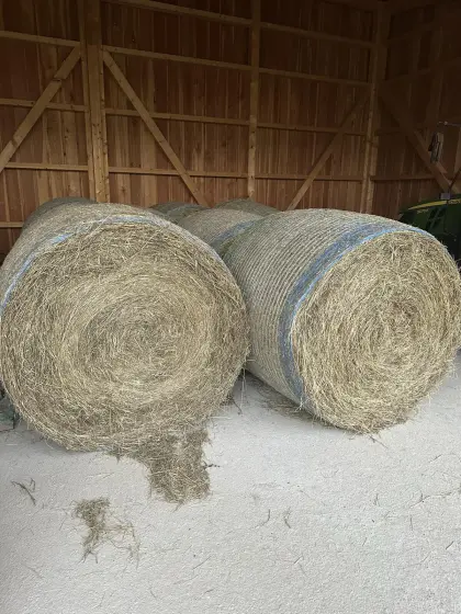 Heuballen 1. Schnitt 2025 30€
