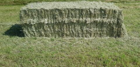 Heu-Großballen Quader Grummet