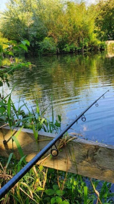 Suche Fischteich zu pachten