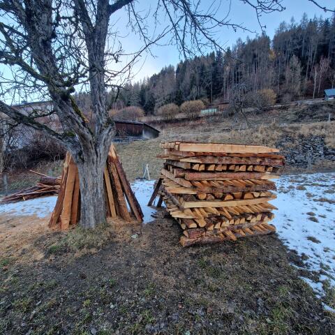 Zaun-Stipfel, Stempel Lärche