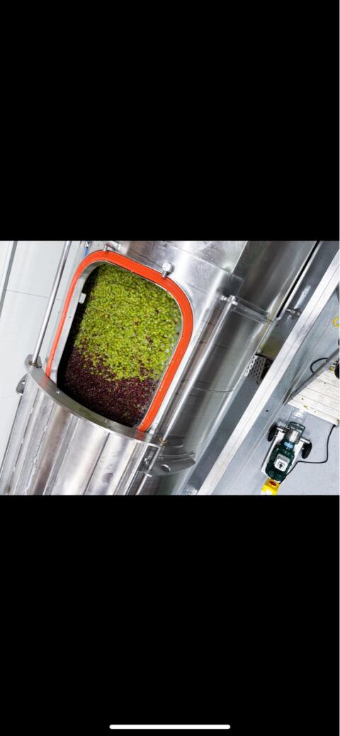 Wottle Weinpresse geschlossen 3.000 l