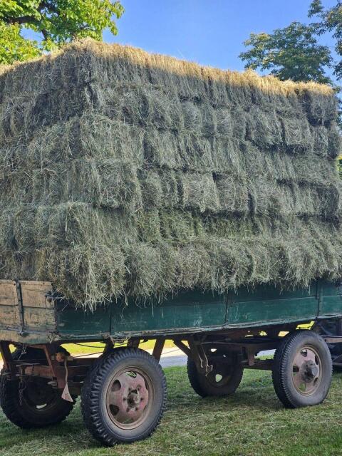 198 Stk. Heu in Kleinballen