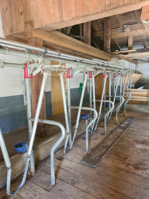 Schauer Selbstfanggitter, Rohrmelkanlage