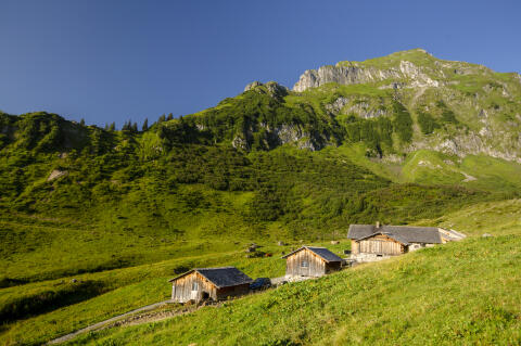 Senn*in für Sommersaison 2026 gesucht