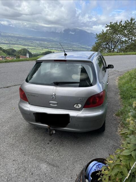 Peugeot 307 Export/Teilespender