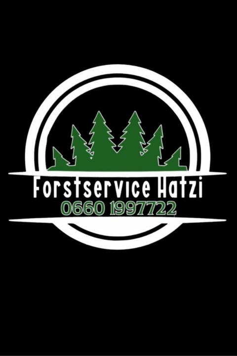 Holzschlägerungen, Bringung