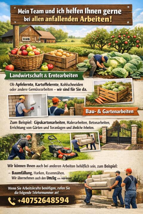 7 Personen suchen Arbeit, freundliche gute Gruppe