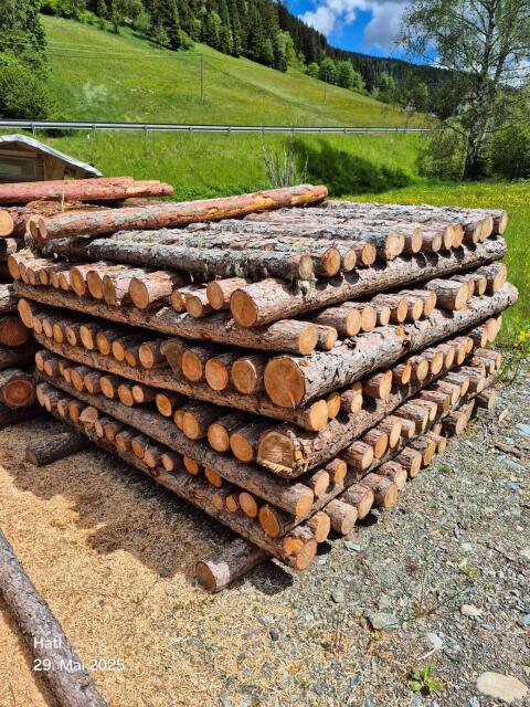 Lärchenstempel, Stempel