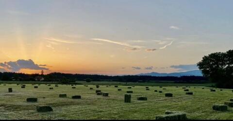 Heuballen erster Schnitt 2025