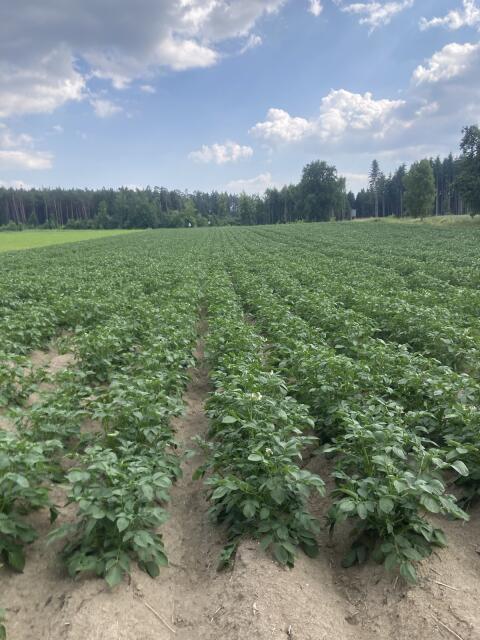 Suche Pachtflächen Melk Loosdorf St. Pölten