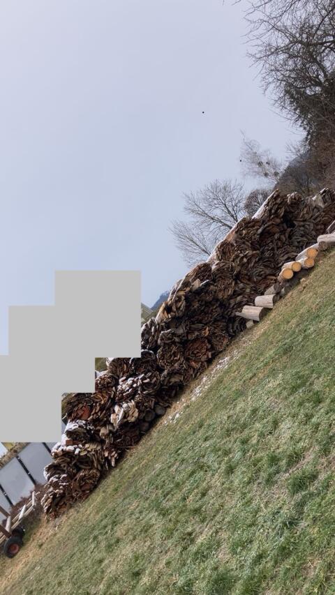 Hackschnitzel zum Hacken aus Schwarten und Spreißel