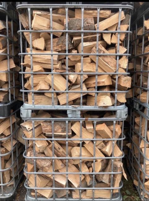 Brennholz Buche und Eiche