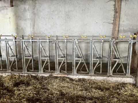 Selbstfangfressgitter Jungvieh, Neuwertig