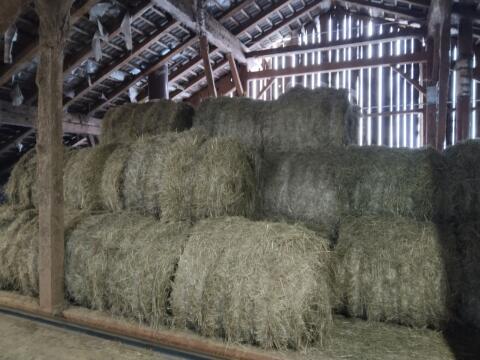 Heu Ballen